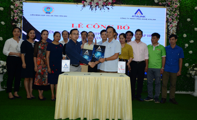 a1-085524_875.jpeg Lãnh đạo Liên minh HTX và Công ty Công nghệ Atalink ký kết thỏa thuận. Ảnh: Thái Sinh.