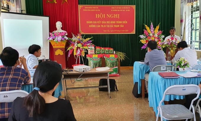 a1-212317_845.jpg Nhập chú thích ảnhLãnh đạo Cty Phú Thái báo cáo kết quả triển khai trình diễn lúa TBJ3 tại tại huyện Trạm Tấu. Ảnh: Thái Sinh.