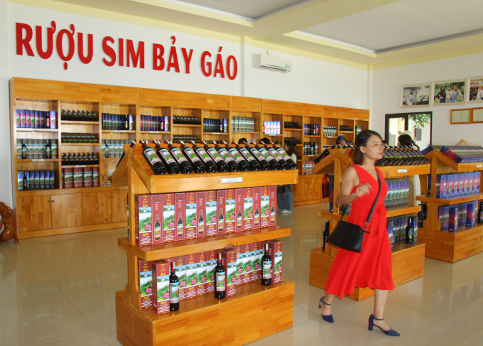 Cửa hàng Rượu sim Bảy Gáo. Ảnh: Thái Sinh.