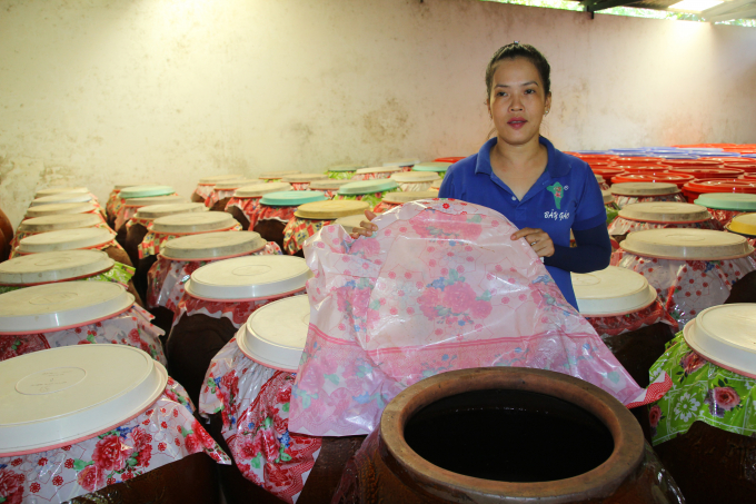 Những chiếc lu sành ngâm ủ rượu sim. Ảnh: Thái Sinh.