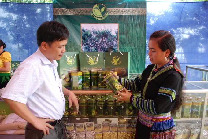 a3-080635_850.jpg Chè Suối Giàng là sản phẩm OCOP 5 sao. Ảnh: Thái Sinh.