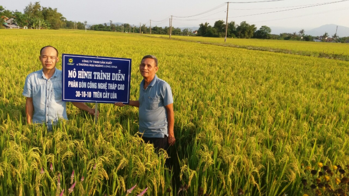 anh-2-085123_384.jpeg Mô hình trình diễn sử dụng phân bón công nghệ tháp cao trên cây lúa. Ảnh: KS.
