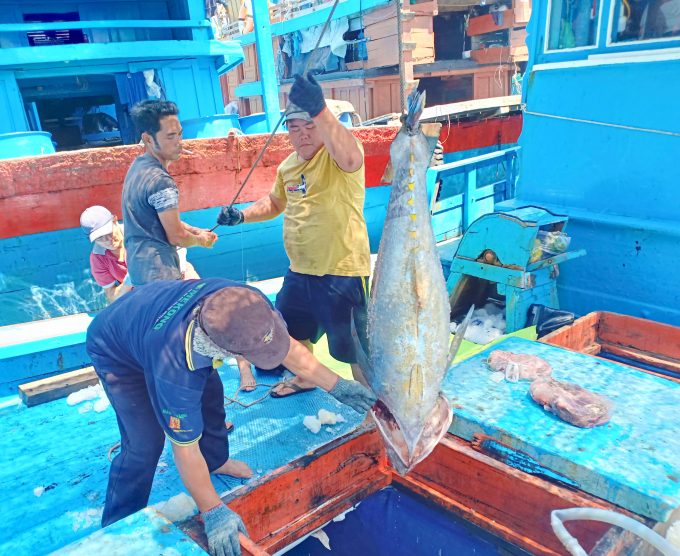 ca-ngu-144405_732.jpg Các tàu cá đánh bắt xa bờ bắt buộc phải có giấy chứng nhận an toàn thực phẩm. Ảnh: KS.