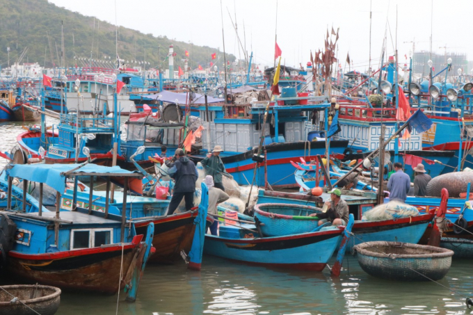 z2875235106633_dea202f6d24cd997165e796496e19176-113010_130.jpg Khánh Hòa có công điện yêu cầu các địa phương thực hiện sơ dân trên lồng bè, khu vưc nguy cơ sạt lở đất, lũ ống…Ảnh: KS.