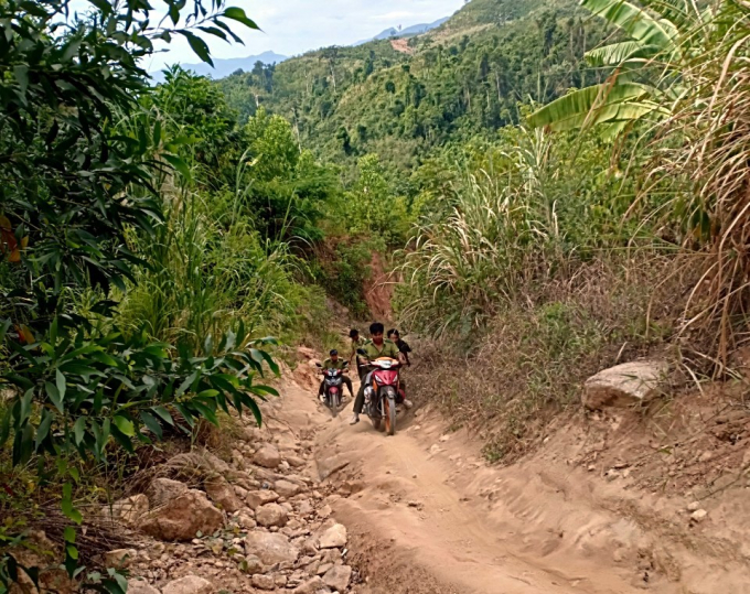 Những ngày giáp Tết lực lượng quản lý bảo vệ rừng ngày đêm tuần tra, truy quét, ngăn chặn các hành vi vi phạm Luật Lâm nghiệp. Ảnh: KS.