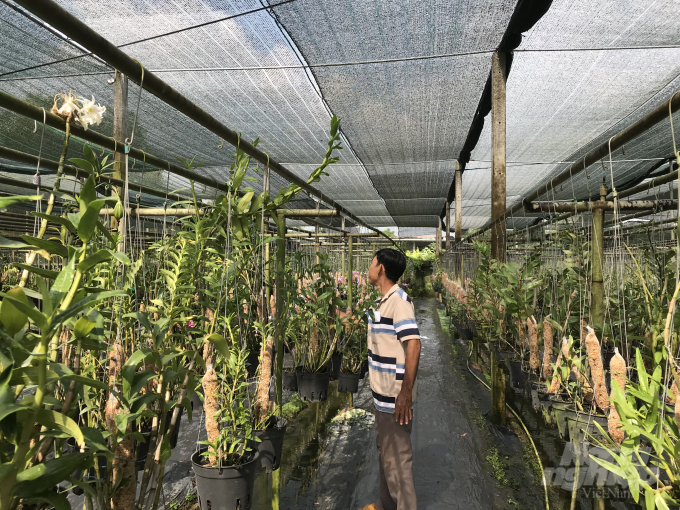 img-5709-145802_575.jpeg Một góc vườn lan được đầu tư bài bản của gia đình ông Hiếu. Ảnh: Thanh Sơn.