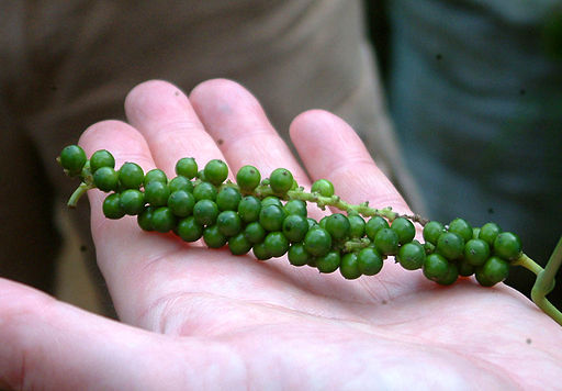 peppercorns-094617_896.jpg Giá tiêu hôm nay giảm 1.000 đồng/kg tại Gia Lai (Chư Sê). Ảnh: TL.