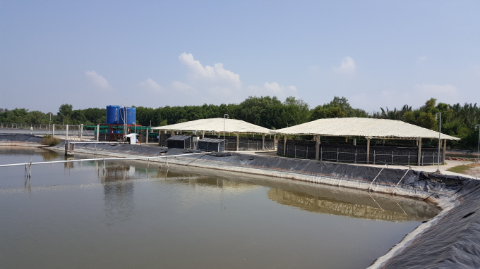 4-mo-hinh-biosipec-standard-123148_927.jpg Mô hình Biosipec tiêu chuẩn góp phần bảo vệ môi trường. Ảnh: ADM Việt Nam.