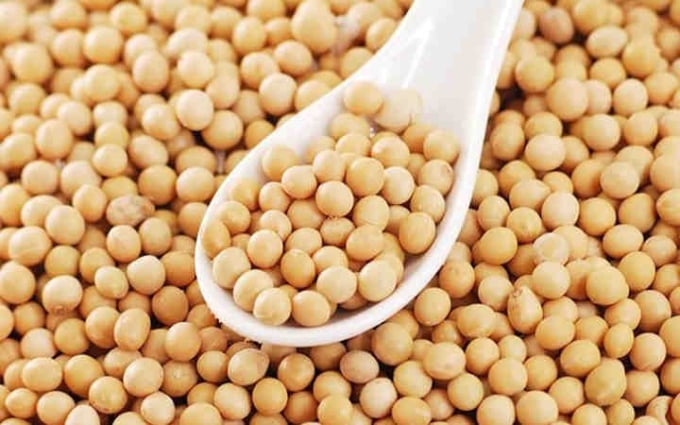 soya-beans-104139_703.jpg Nhập khẩu đậu nành vào Việt Nam tiếp tục tăng mạnh đầu năm 2021. Ảnh: TL.