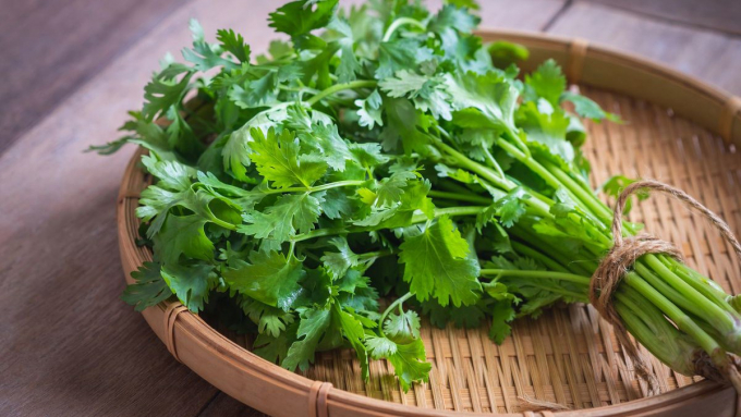 Rau mùi Việt Nam xuất sang EU có tần suất kiểm tra thuốc bảo vệ thực vật 72%. Ảnh: TL.