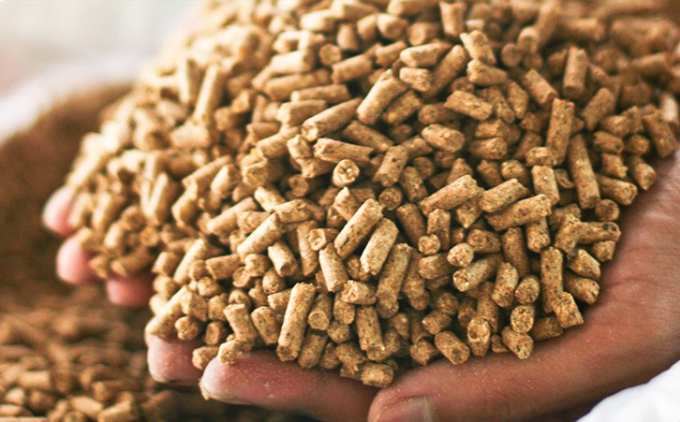 animal-feed-7-144634_209.jpg Xuất khẩu thức ăn chăn nuôi và nguyên liệu lần đầu tiên vượt mốc 1 tỷ USD. Ảnh: TL.