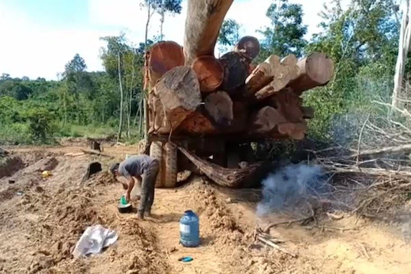 Need adequate proof for Combodia timber. Photo: Lang Ouch, from Combodia.
