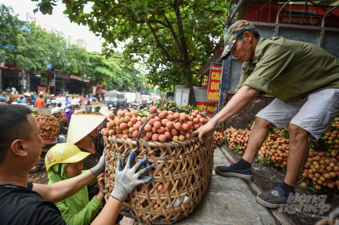day-manh-tieu-thu-nong-san-o-thi-truong-noi-dia-232749_20210604_308.jpeg Vải thiều Bắc Giang đang chuẩn bị vào mùa thu hoạch. Ảnh: Tùng Đinh.