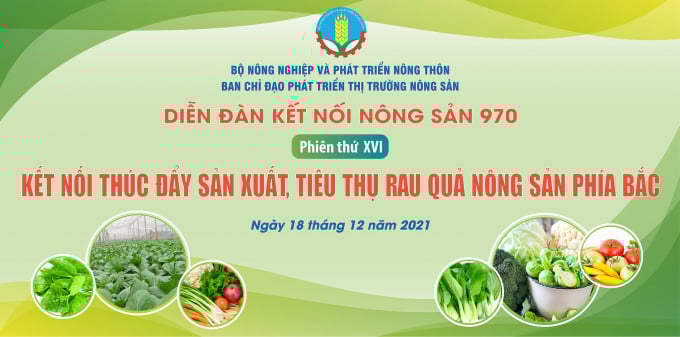 081955bfc9c803965ad9-221232_453.jpg