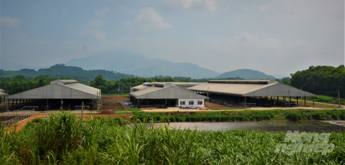 7-094954_725.jpeg Tỉnh Tuyên Quang phấn đấu đến hết năm 2020, tổng đàn bò sữa trên địa bàn đạt 5.000 con. Đáp ứng nhu cầu thức ăn, tỉnh sẽ quy hoạch từ 250 đến 310 ha vùng trồng cây thức ăn trên địa bàn huyện Sơn Dương, Chiêm Hóa. Tỉnh cũng thực hiện chính sách ưu đãi để phát triển ngành bò sữa; khuyến khích phát triển chăn nuôi bò sữa theo mô hình trang trại, công nghiệp. Ảnh: Đào Thanh.