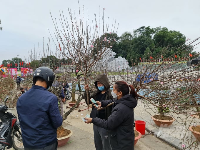 z3148707925265_214dbdec9b84a43daa27222fc5bf5073-092318_435.jpg Theo những người bán hàng, thì giá đào, hoa, cây cảnh ở Tuyên Quang năm nay rẻ hơn so với Tết năm ngoái nhưng vẫn vắng khách.
