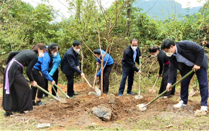 z3158028546430_61f6f689e49adf1fe77813d10509924c-155948_966.jpg Lãnh đạo tỉnh Tuyên Quang tham giá Tết trồng cây tại huyện Lâm Bình. Ảnh: Công Đại.