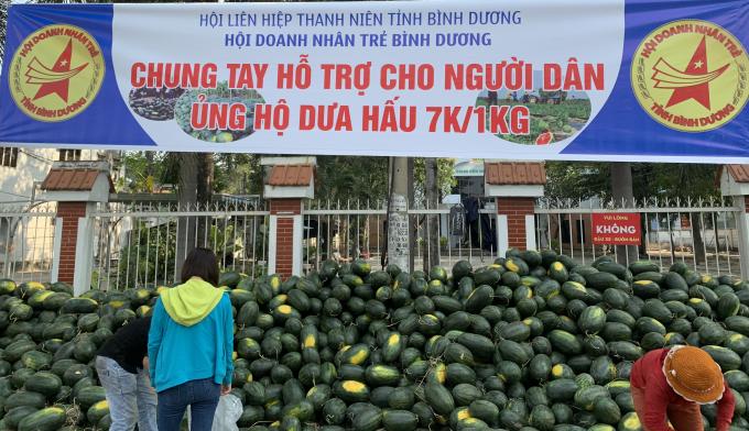 Hội Doanh nhân trẻ cả nước chung tay giải cứu dưa hấu cho người dân.