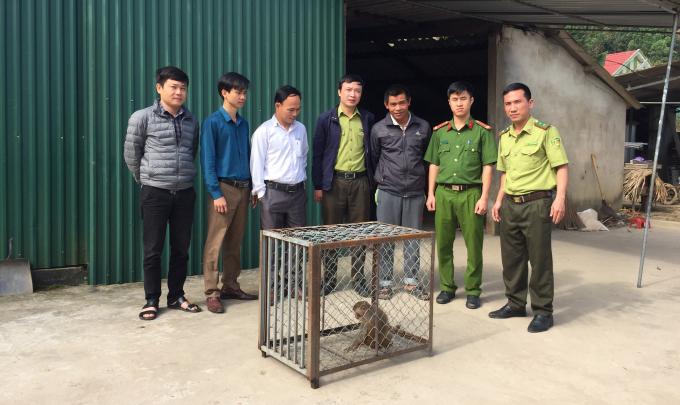 Người dân giao nộp cá thể khỉ thuộc loài động vật nguy cấp cho Vườn Quốc gia Vũ Quang. Ảnh: Sang Trang.
