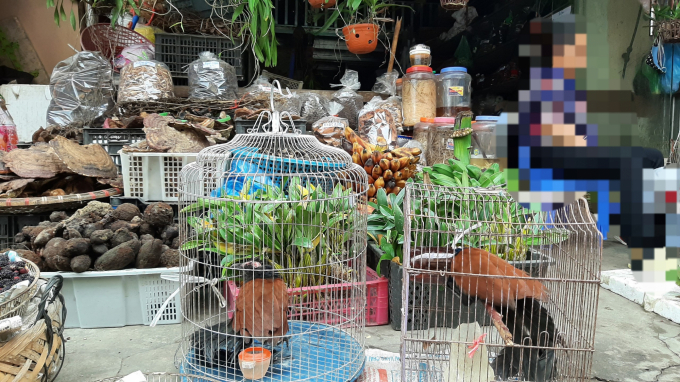 Chim bìm bịp có giá vào khoảng 120.000đ/kg. Ảnh: T.N.