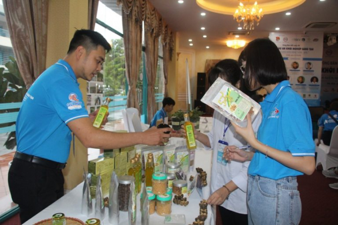 khoi-nghiep-satchi-112905_293.jpg Nhóm khởi nghiệp từ cây thầu dầu sachi có giá trị dinh dưỡng rất cao, nhất là hàm lượng omega-3, 6, 9 chiếm 46%, cao gấp bảy lần so với dầu ăn làm từ cá hồi. Ảnh: Ngô Hà.
