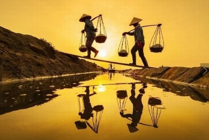 nong-dan-co-the-xoay-so-tu-cuu-minh-143221_20200425_357.jpeg Ảnh mang tính minh họa.