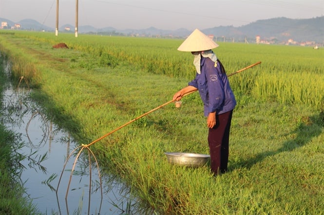 thuong-oi-mua-cat-ro-111734_20200515_843.jpeg Ảnh minh họa.
