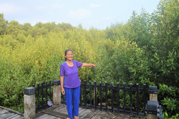 Nguyen Thi Thu stands in front of a mangrove forest – a green shield protecting sea dykes and creating livelihoods for people living in Vam Ray Village. Photo: Trung Chanh.