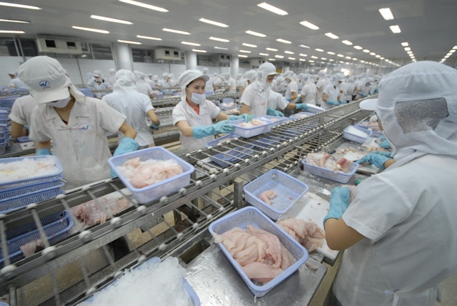 06-37-42_thi_truong_c_tr_ton_cu-165122.jpeg Chế biến cá tra xuất khẩu.