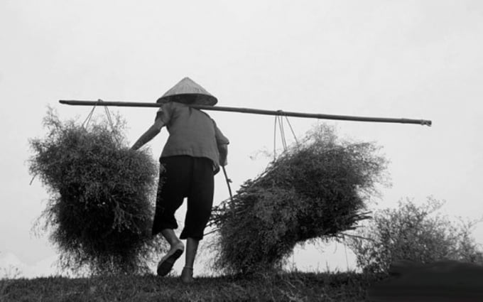 noi-niem-voi-me-mien-trung-154445_20201206_421.jpg Hình ảnh tảo tần của người mẹ miền Trung (Ảnh minh họa).
