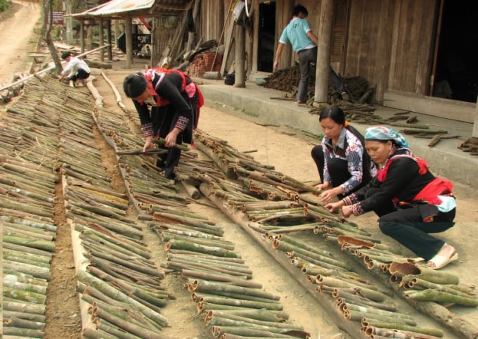 tu-tu-duy-khoan-ho-den-xu-the-kinh-te-ho-gia-dinh-110839_20210116_680.jpg Nông nghiệp gia đình dựa trên sử dụng lao động gia đình là chính (Ảnh minh họa).