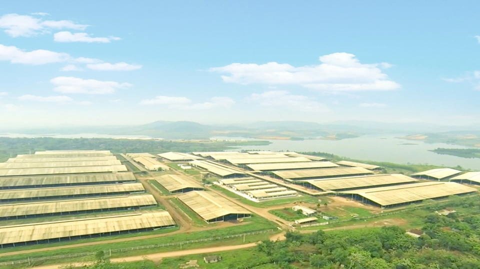 toan-canh-trang-trai-153800_122.jpg TH đã sở hữu trang trại bò sữa xác lập kỷ lục: Trang trại tập trung công nghệ cao lớn nhất châu Á (chứng nhận của Asian Book of Records năm 2015) với quy mô đàn bò 45.000 con, nhà máy chế biến sữa công suất đạt 500.000 tấn/năm.
