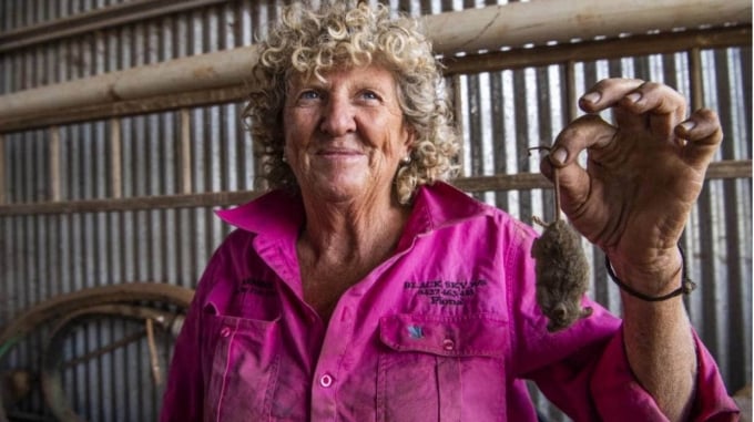 Grain farmer Fiona Adams from Wellington in NSWâs Central West holds a mouse that her dog killed. Photo: Sydney Morning Herald.