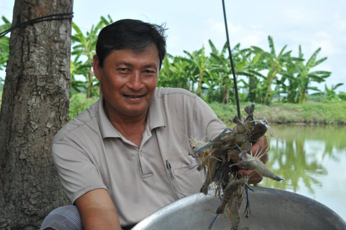 Crayfish of Kien Giang province.