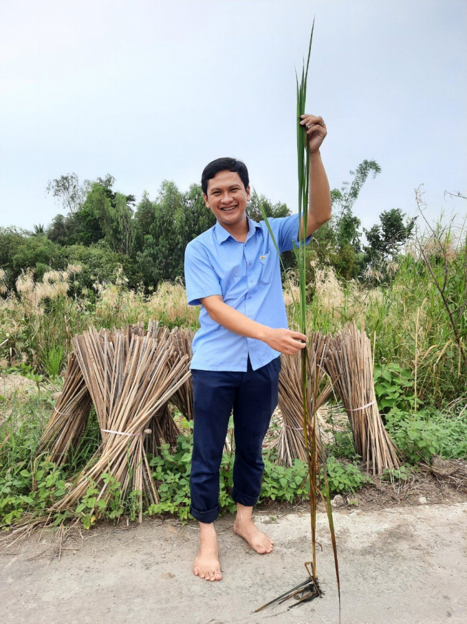 a4-092415_944.jpg Lúa mùa nổi có thể vươn cao theo nước lũ.