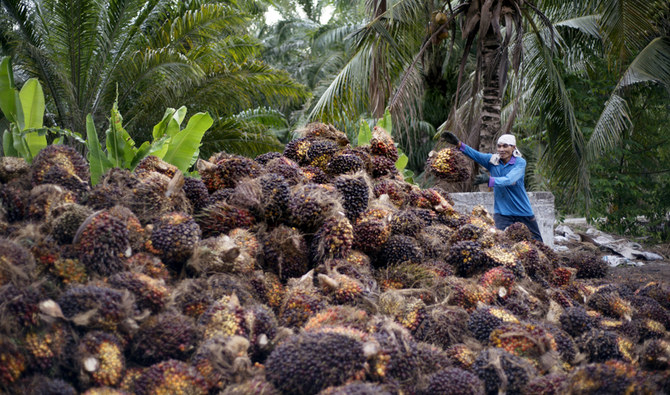 Dầu cọ là một trong những mặt hàng xuất khẩu hàng đầu của Malaysia. Ảnh: Shutterstock.
