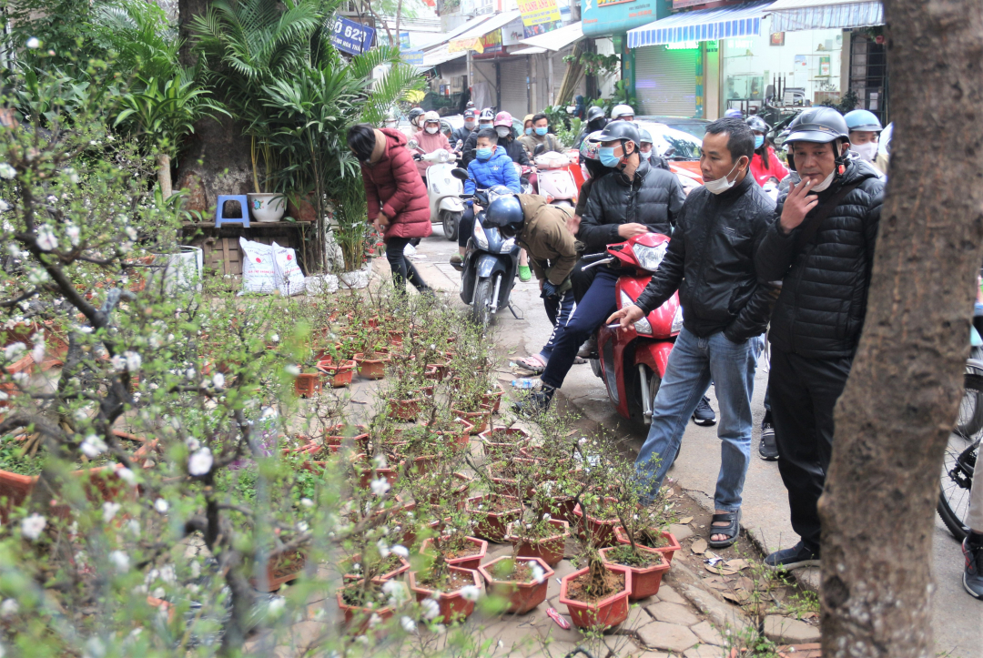 cay-canh-vua-ban-vua-cho-truoc-giao-thua-201256_661.jpg
