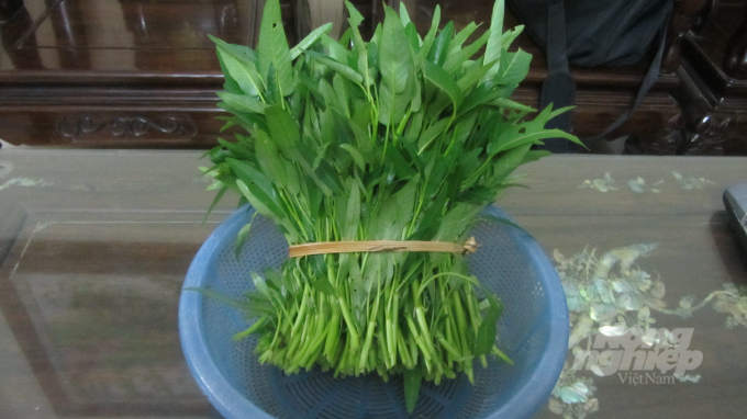 img_4243-005731_273.jpg Những mớ rau như thế này sẽ có giá 2.500 - 6.000 đồng cho thương lái, tùy thời điểm. Ảnh: H.Tiến.