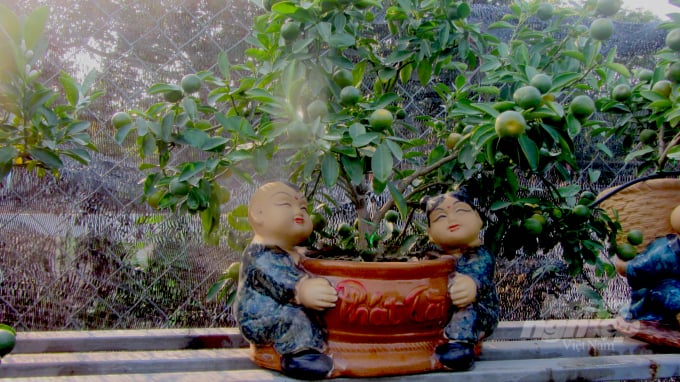 11-010206_985.jpg Mơ ước làm giàu ngày từ còn trẻ nhỏ. Trẻ thơ miền núi cũng cần mẫn mưu sinh. Làm nông cũng cần có tầm nhìn chiến lược như Gia Cát Lượng.