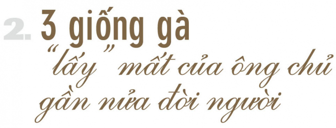 anh-nong-dan-voi-khat-vong-dua-ga-viet-vuon-tam-the-gioi-162501_20201222_263.jpg