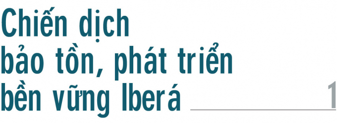 bai-4-cuoc-phieu-luu-sinh-thai-o-vung-dam-lay-vuon-quoc-gia-ibera-111334_20210130_863.jpg