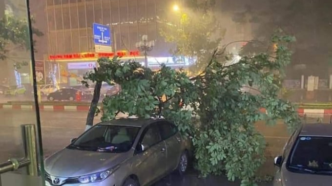 Ô tô bị cây đè hỏng. Ảnh: NSTN.