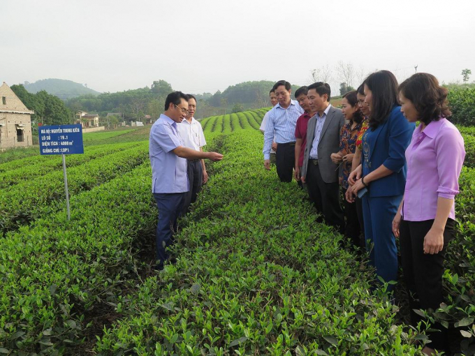 Kiểm tra hoạt động sản xuất nông nghiệp. Ảnh: PV.