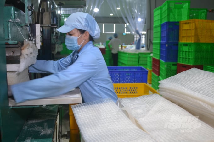 Bánh tráng được cắt bằng máy để đảm bảo độ đồng nhất. Ảnh: Trần Trung.