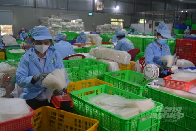 Bánh tráng được phân loại trước khi đóng gói cung cấp thị trường, Ảnh: Trần Trung.