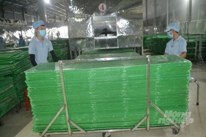 Mẻ bánh tráng nóng hổi vừa được ra lò. Ảnh: Trần Trung.