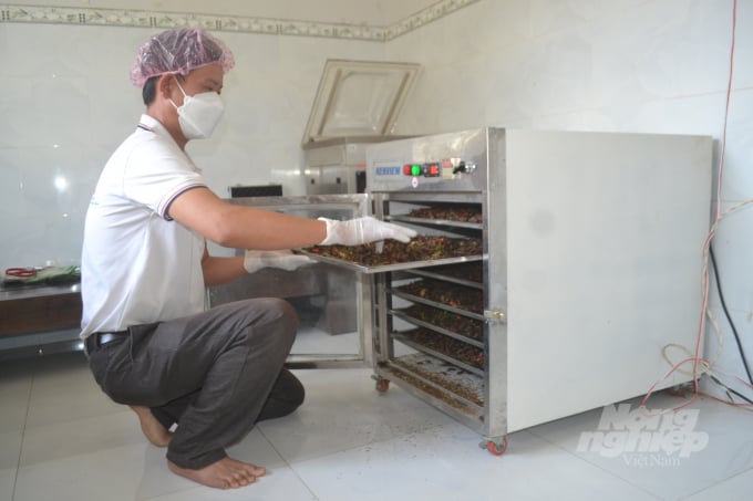 Ngoài chăn nuôi, anh Vĩnh còn đầu tư trang thiết bị, chế biến sâu sản phẩm. Ảnh: Trần Trung.