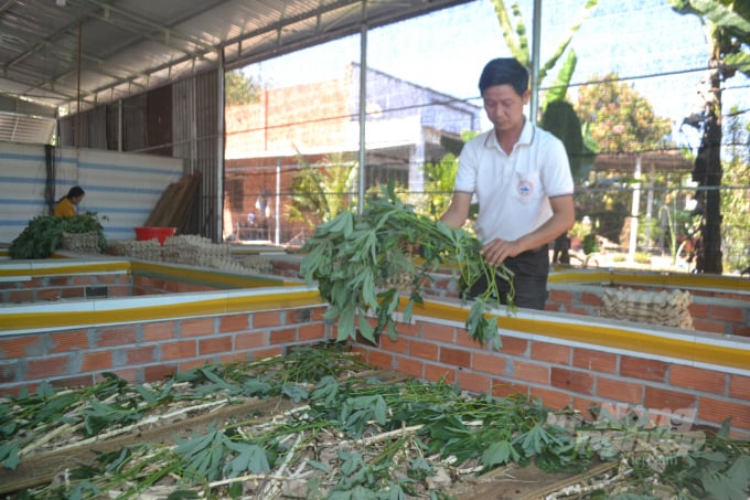 Anh Vĩnh tận dụng các phụ phẩm tại địa phương làm thức ăn cho dế. Ảnh: Trần Trung.
