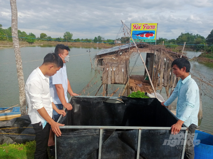 Thanh niên trong vùng đến tìm hiểu và học hỏi mô hình nuôi cá Koi của anh Ngọc. Ảnh: Trần Trung.