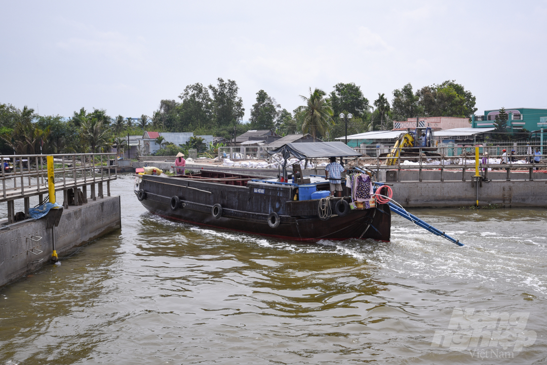 ninh-quoi-10-222549_991.jpeg